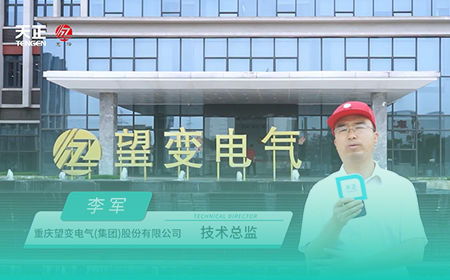 胜天国际x望变电气